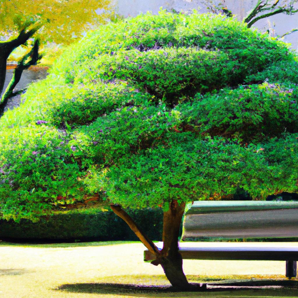 町田市の庭に新しい命を吹き込む、植栽とメンテナンスの専門家