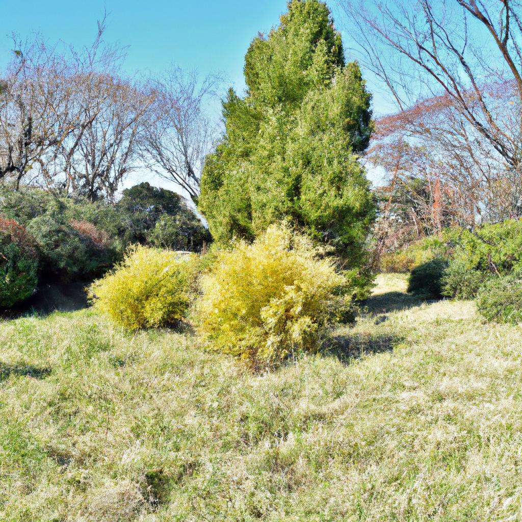 府中市の植木のことならお任せ！