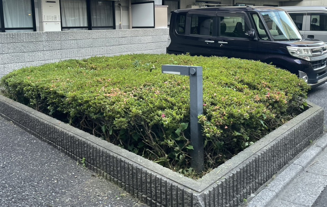 環境整備と植物診断の必要性
