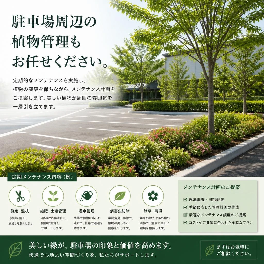 徹底した植物管理とメンテナンス