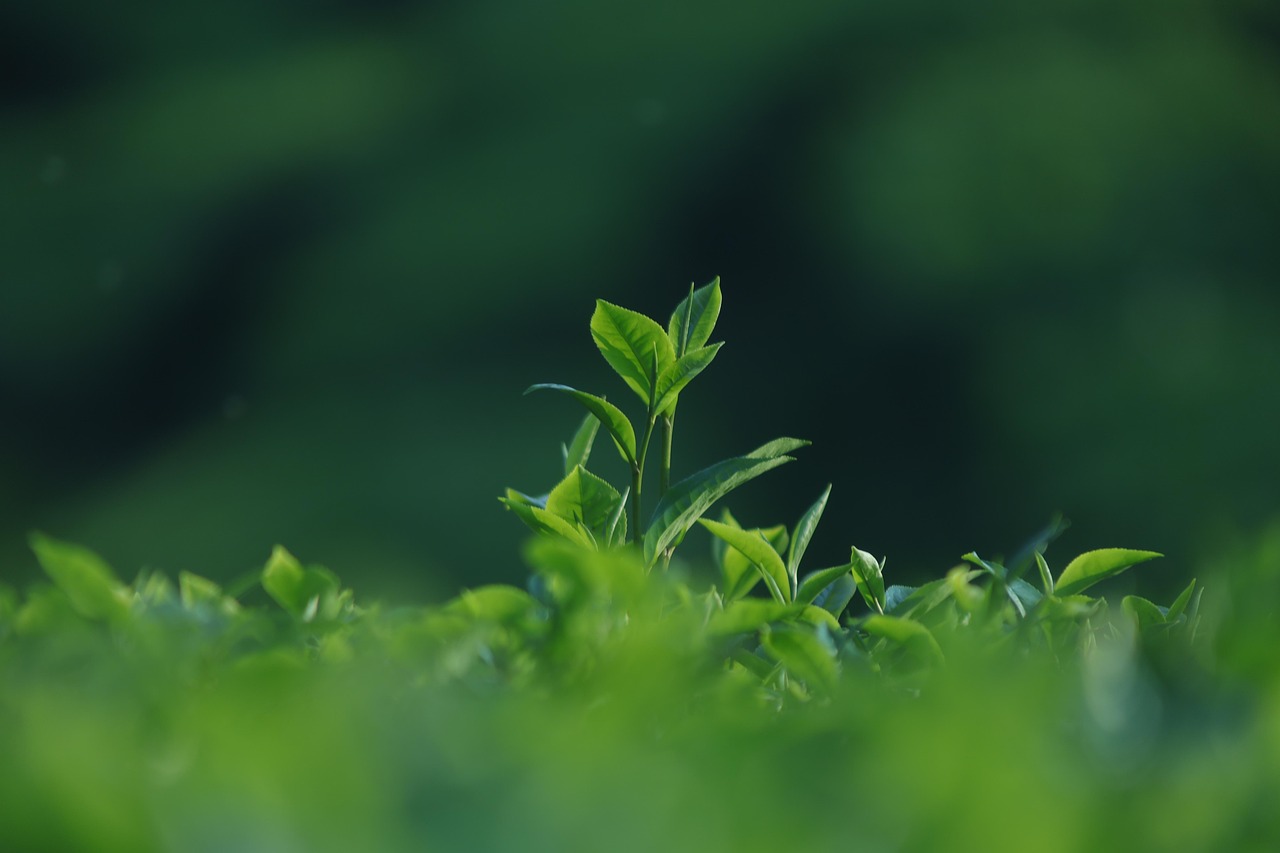 お手入れしやすい空間の実現