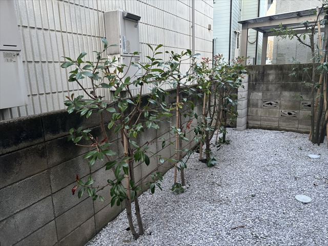 立川市の庭木伐採と草刈りで安全・美しい空間を実現