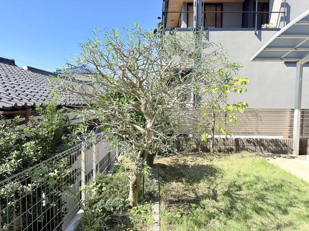 調布市の庭を美しく保つ除草作業