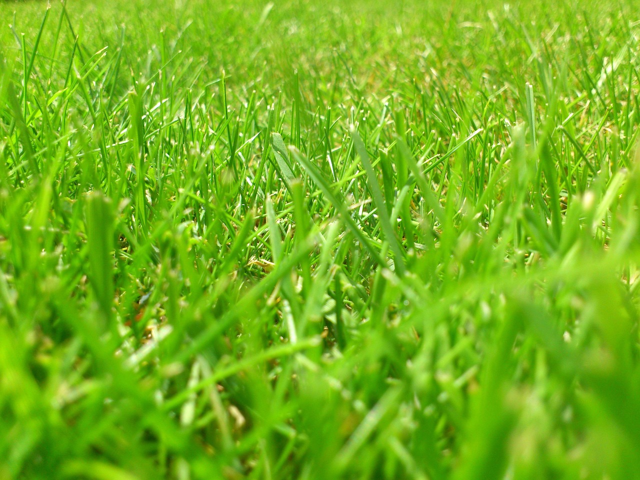 すっきりとした空間を実現する草刈り