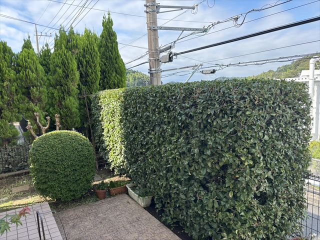 なぜ草刈りが大切なのか？