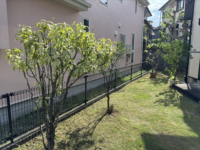 4. お客様の声