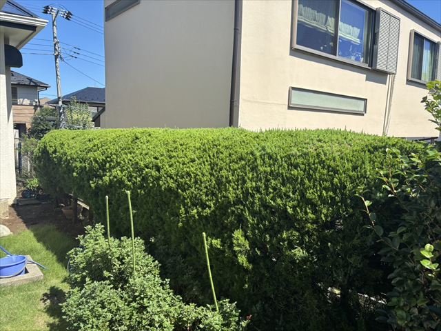 お客様の声 - 実績と信頼の証
