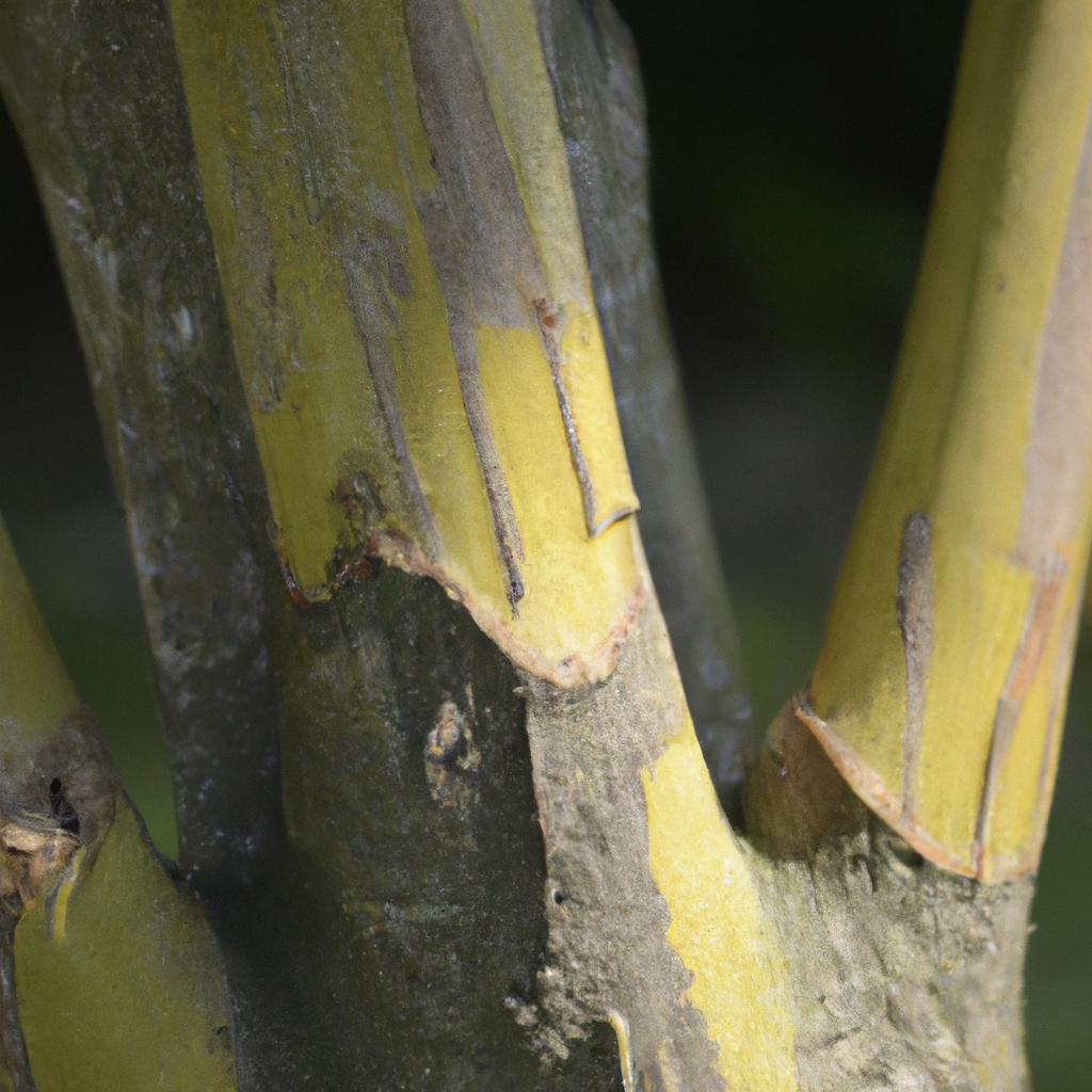 2. 植物管理の重要性