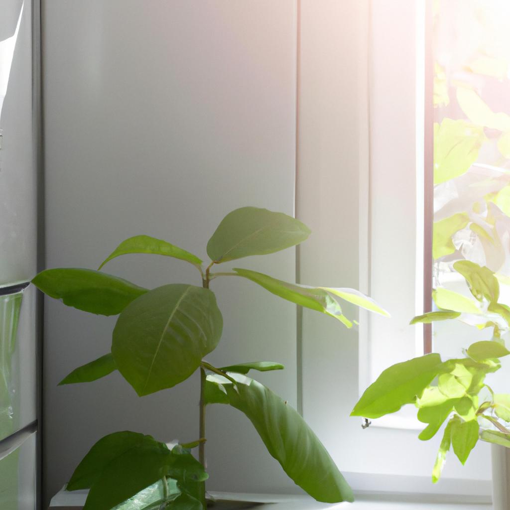 魅力的なアパートは植木のお手入れから。