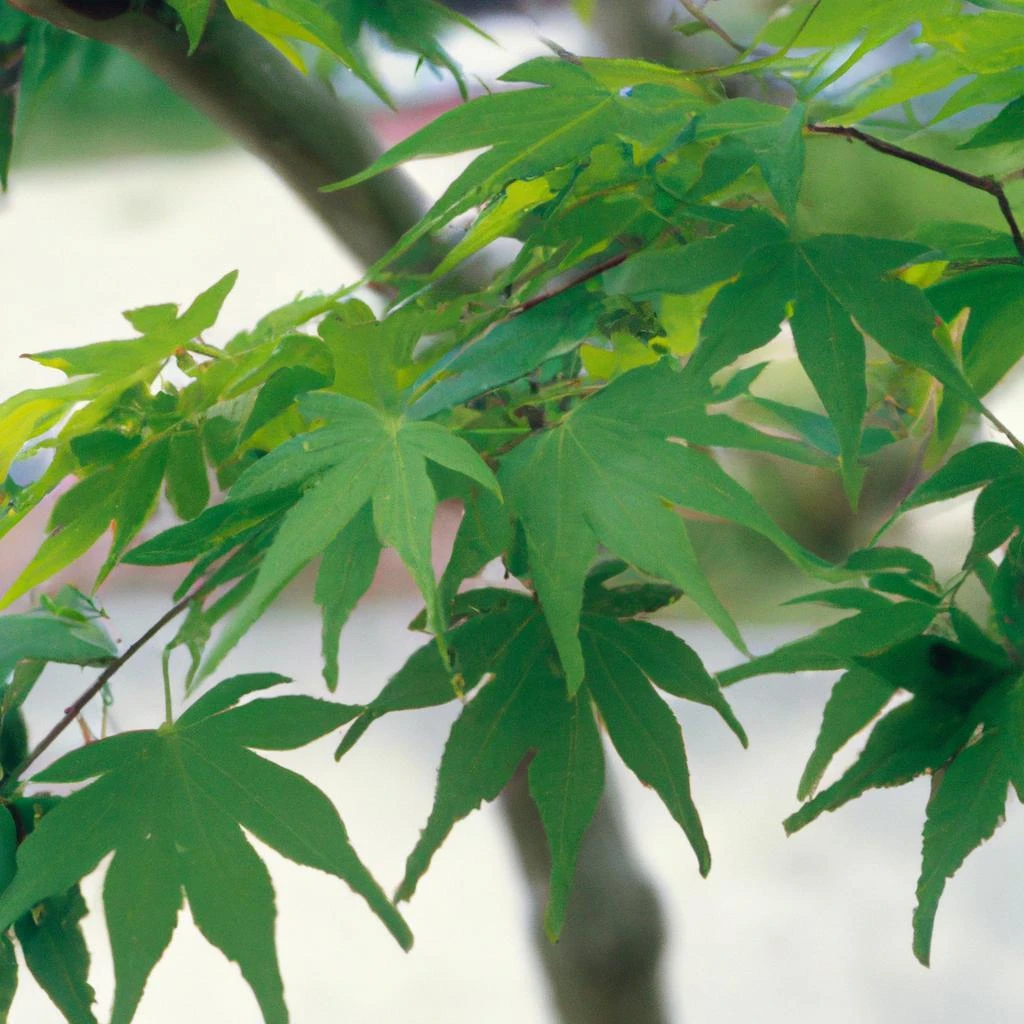 植物選定で一層魅力的に