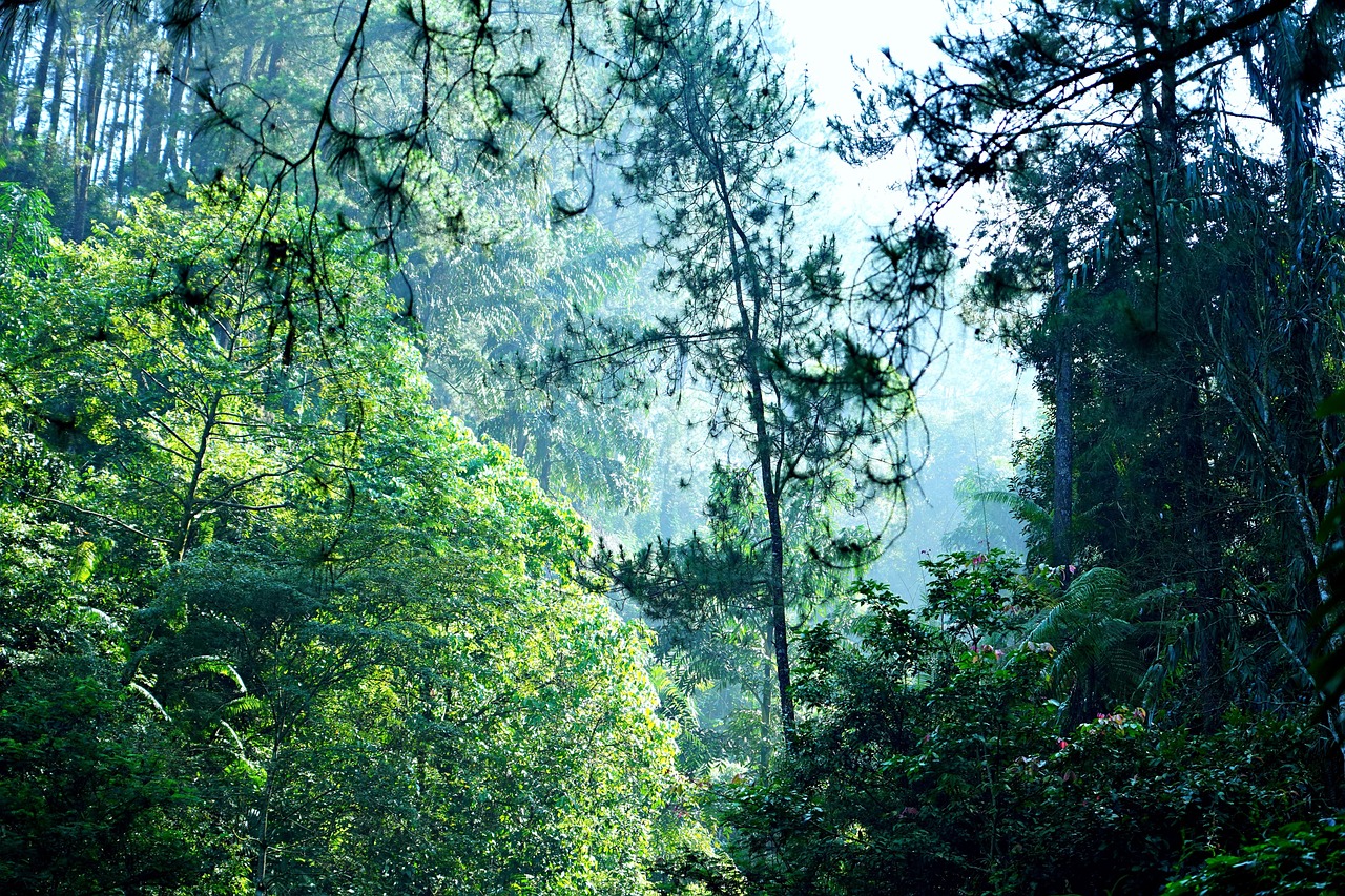 お客様の声をご紹介