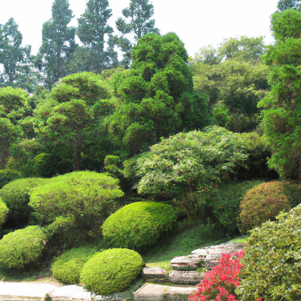 理想の庭を府中市で実現！ 植木屋があなたの緑を守ります