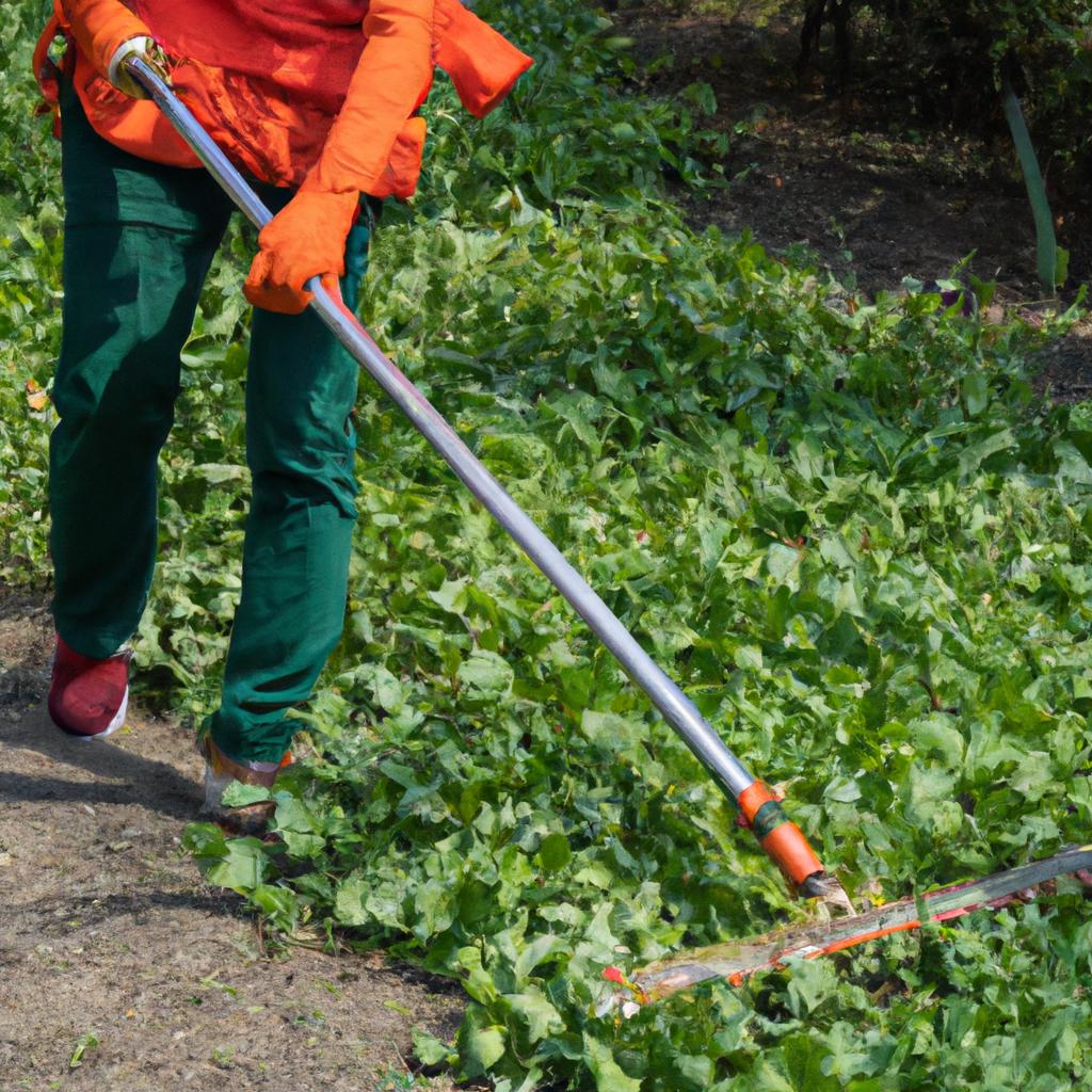 町田市の除草専門！美しい庭を維持するための手入れのプロフェッショナル
