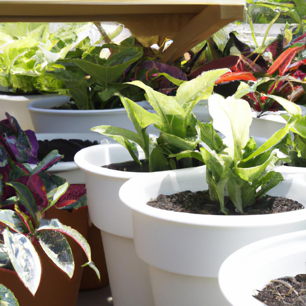 相模原市で美しい植木を作りに！