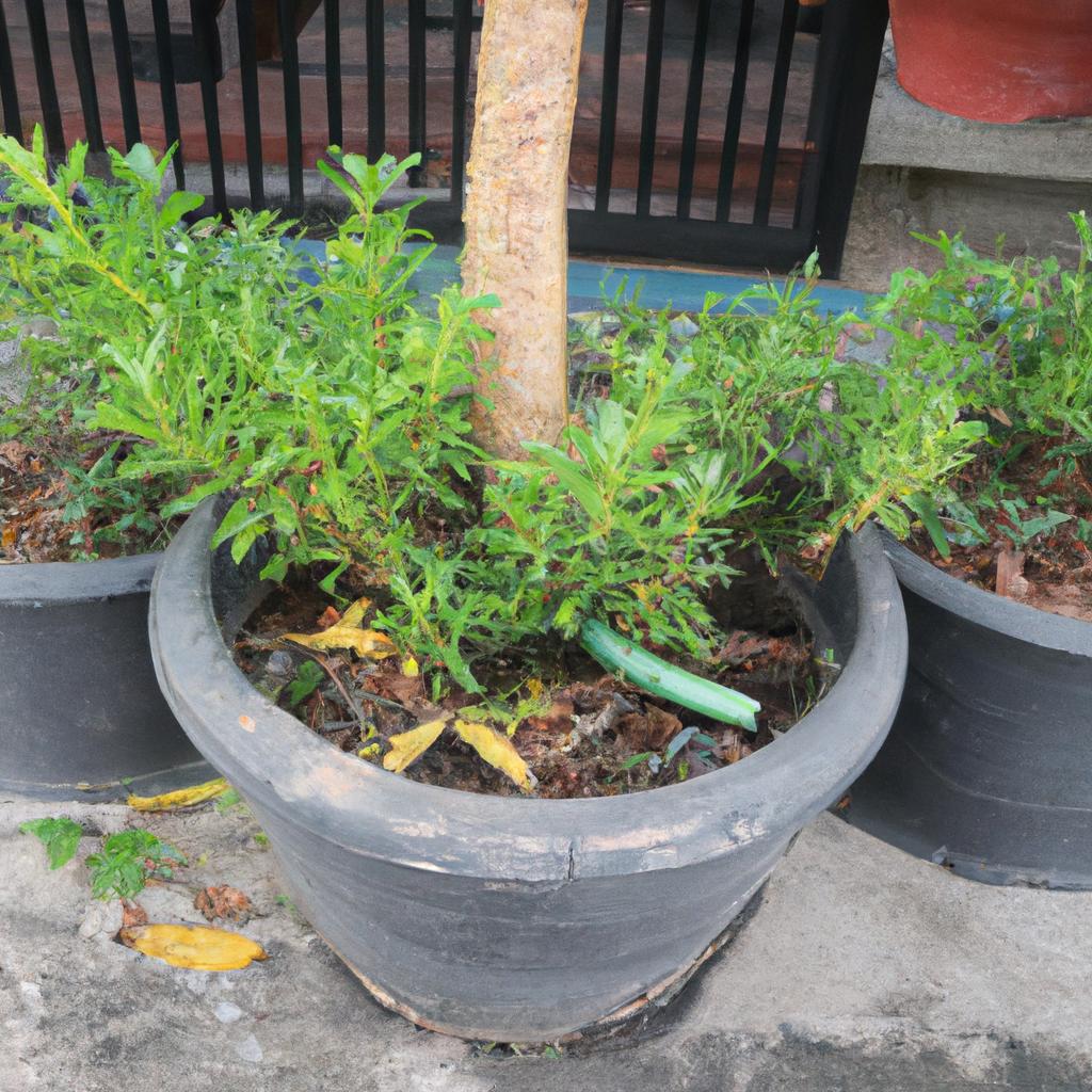 植物メンテナンスの重要性