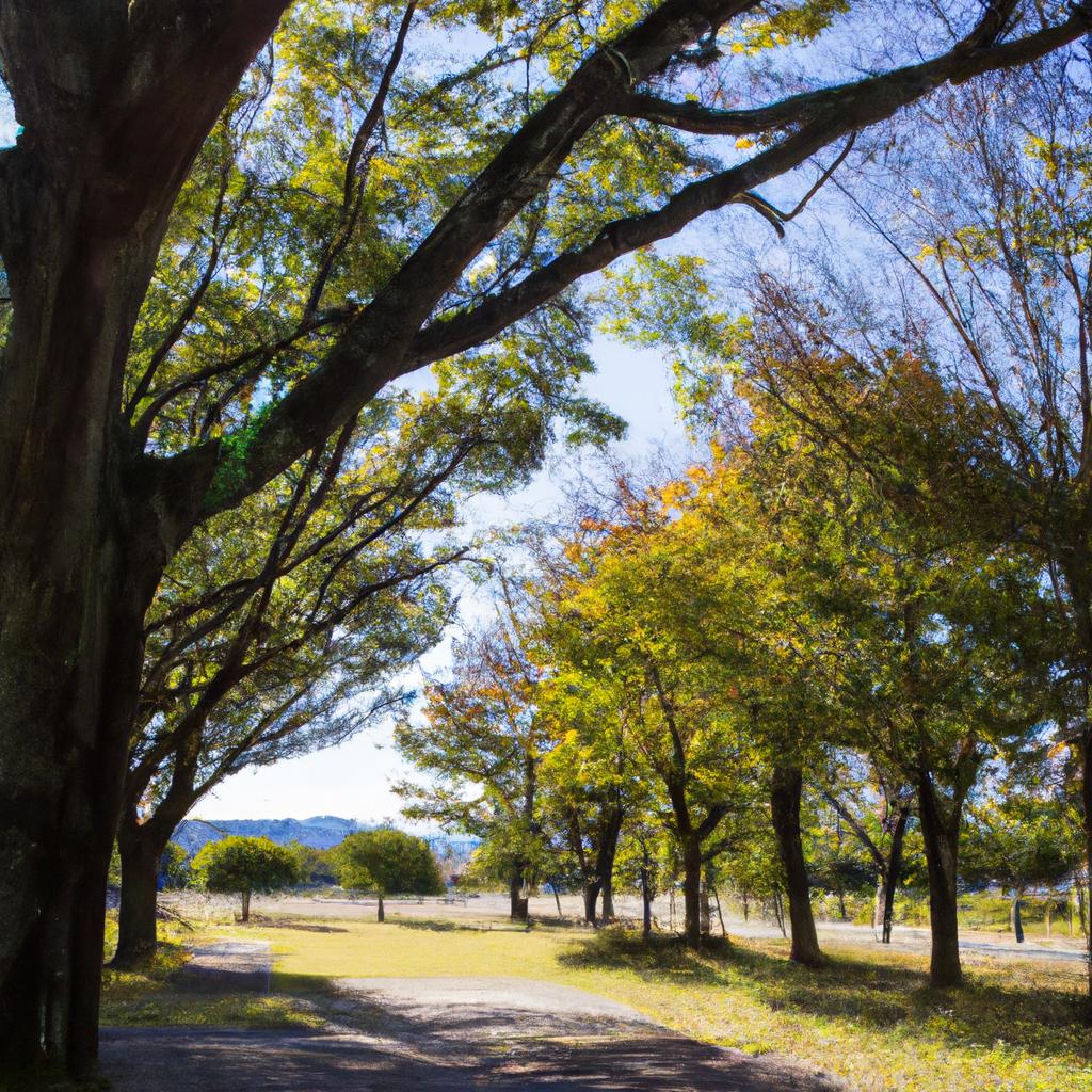 高木植栽で多摩市の自然を満喫しませんか？